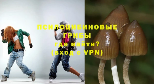амф Беломорск